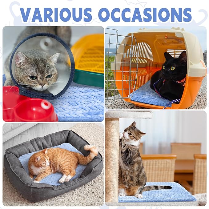 Drydiet 4 Pack Self Heating Cat Pad Self Warming Cat Bed Non Slip Warm Thermal Dog Pad Mat Washable Pet Kennel Crate Bed Mat for Pets Indoor Outdoor (Blue,16 x 20 Inch)