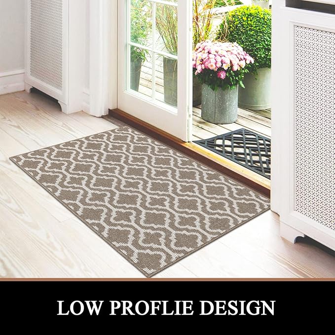 HEBE Indoor Door Mat 32"x48" Non Slip Front Door Welcome Mats Washable Shoe Mats Dirt Trapper for Entryway Low Profile Kitchen Carpet for Entrance Hallways Entrance Mat for Dogs