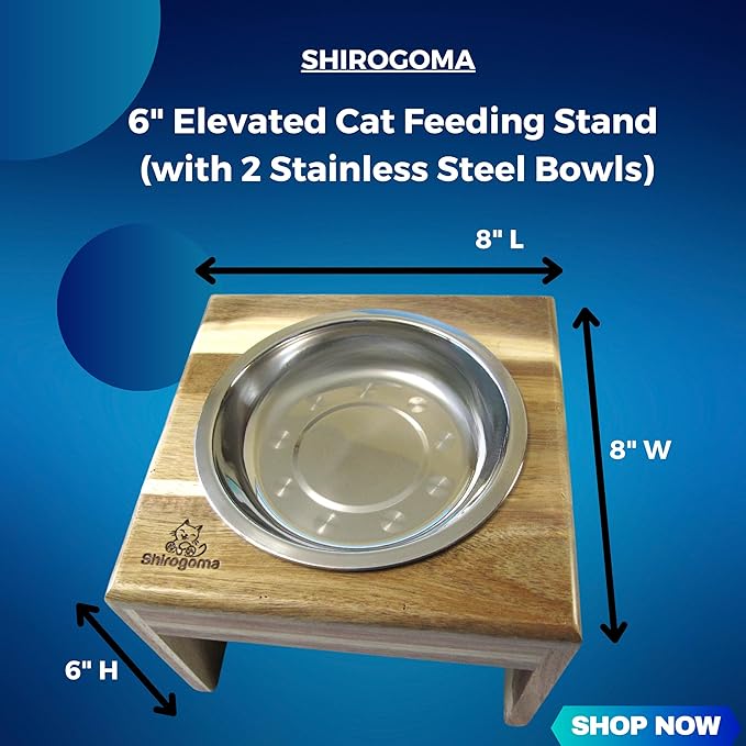 Raised Cat Bowls, 6.25 in Wide, 6" Elevated Cat Feeding Stand (with 2 Stainless Steel Bowls: 12 oz/1.5 Cup), Small Dogs, Rabbits, Anti-Vomit, Whisker Friendly, 6 x 8 x 8 in, Acacia Wood