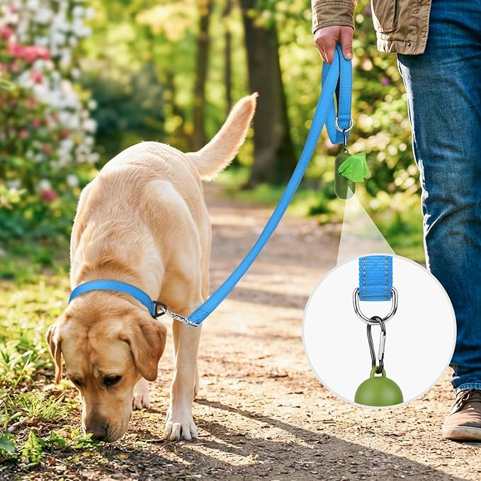 Joytale Dog Leash, 5 FT Double-Sided Reflective, Padded Handle Nylon Heavy Duty Leashes for Medium & Large Dogs Walking, Sky Blue