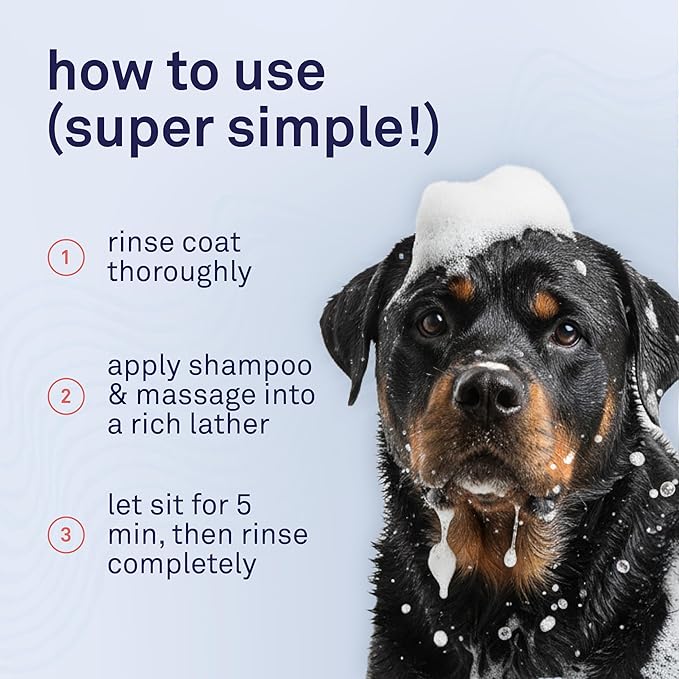 Petpost | Argan Shampoo for Dogs. Dog Shampoo with Argan Oil & Aloe. Moisturizes Dry Skin, Softens Coat, Restores Shine. 8 oz
