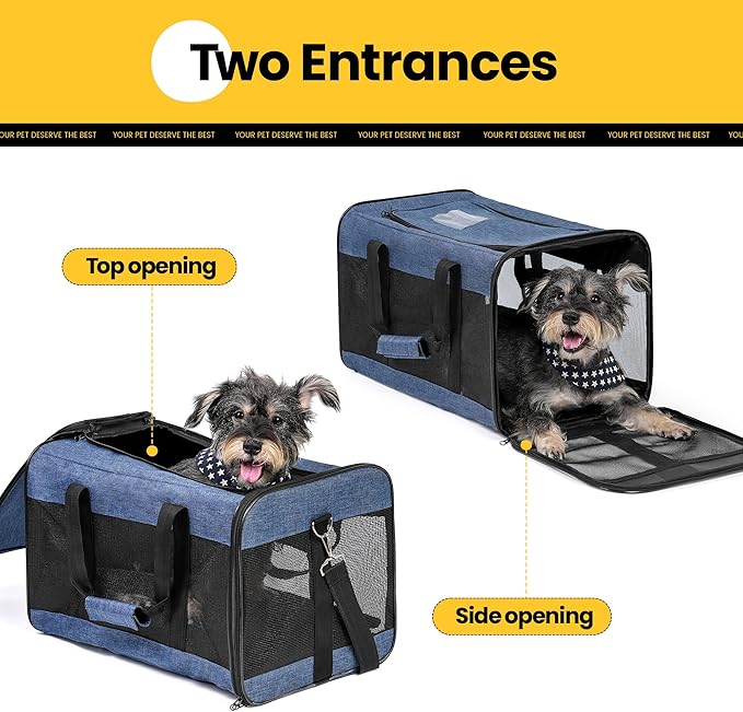 Conlun Dog Carrier Soft Sided, Large Cat Carrier with Inner Safety Leash, Pet Transport Carrier for Large Cats and Medium Dogs up to 20 Lbs, Collapsible Travel Puppy Carrier Bag -Blue L