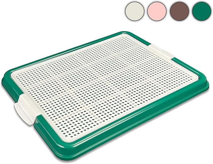 Pets-N-Me Dog Pee Pad Holder, Puppy Potty Training Tray 22.5”X16.5” for Small Dogs (Green)
