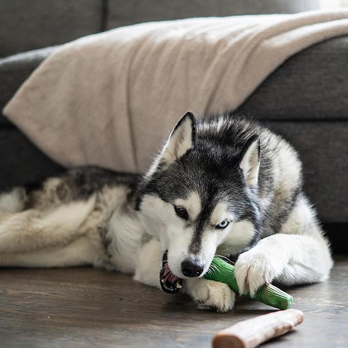 Outward Hound Dogwood Wood Durable Dog Chew Toys, Real Wood & Mint, 2-Pack, Large