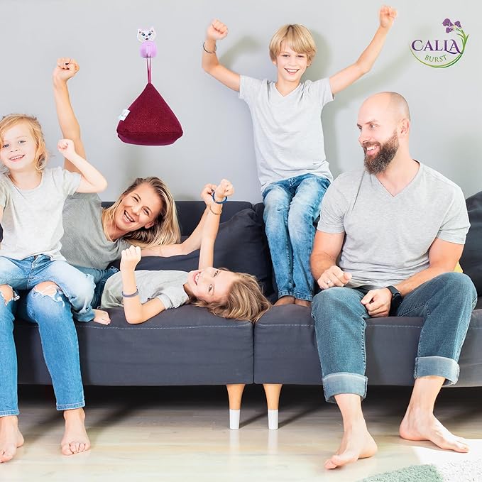 4 Pack Bamboo Charcoal Air Purifier Bags 200 Grams Each - Odor Absorber & Eliminator for Home, Car, Pets, Activated Charcoal Natural Freshener, Eco-Friendly & Reusable (Fall Colors)