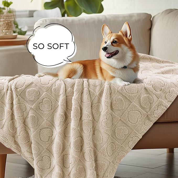 Luciphia Small Dog Blanket Washable Pet Bed Cover Soft Fluffy Puppy Blanket with Premium Fleece 300GSM Cozy Calming Cat Blankets for Indoor Cats Beige 30x20 inch