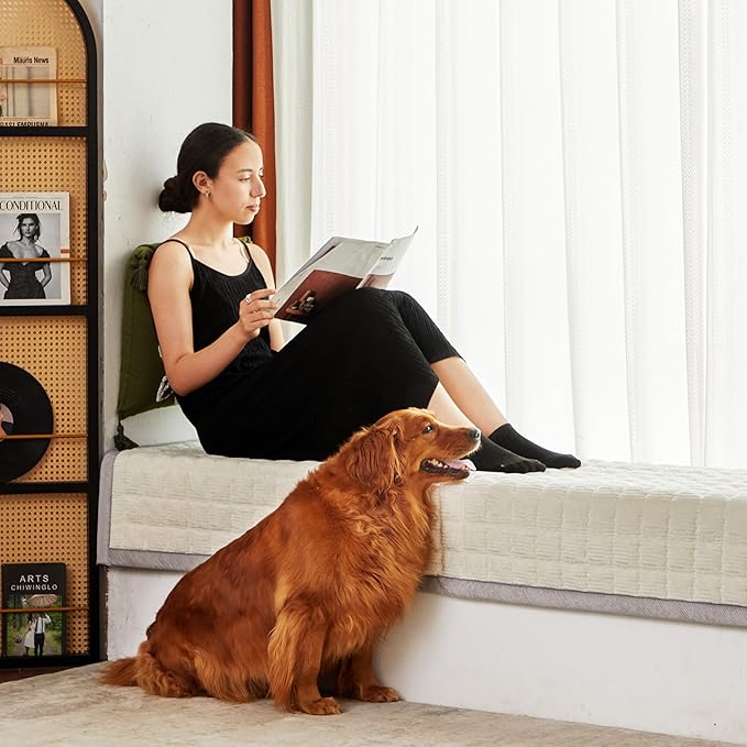 Couch Cover for Dogs Washable,Anti-Slip Back Cat Mat Pet Pad Blanket for Furniture Protector,Fuzzy Pet Sofa Cover for 3 Cushion Couch Sofa Pets Friendly (Ivory, 2pc/22"x28"-Arm/Backrest Cover)