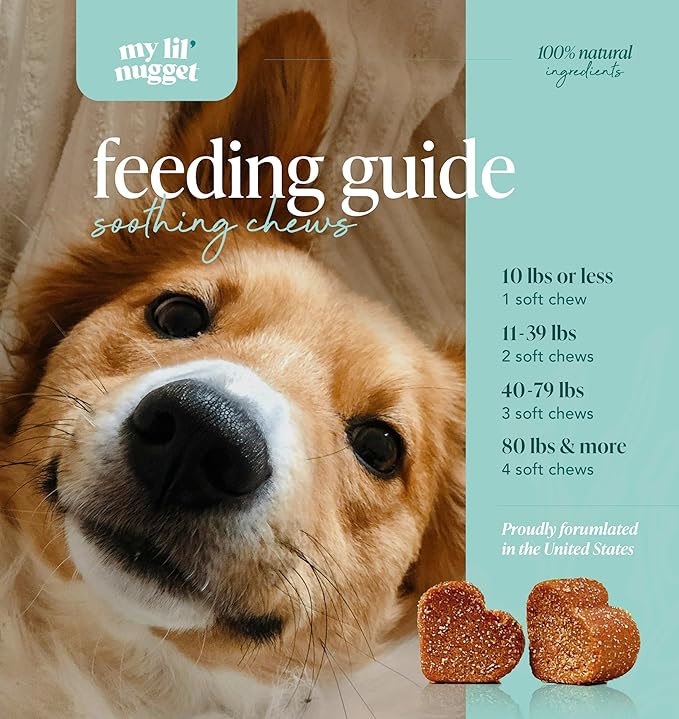 My Lil' Nugget – Vet-Approved Calming Chews for Dogs | All-Natural Calm Treat for Noise, Travel & Home Alone | Hemp, Chamomile & Melatonin | All-Ages - Senior Dog to Puppy | 90 Beef‑Flavor Soft Chews