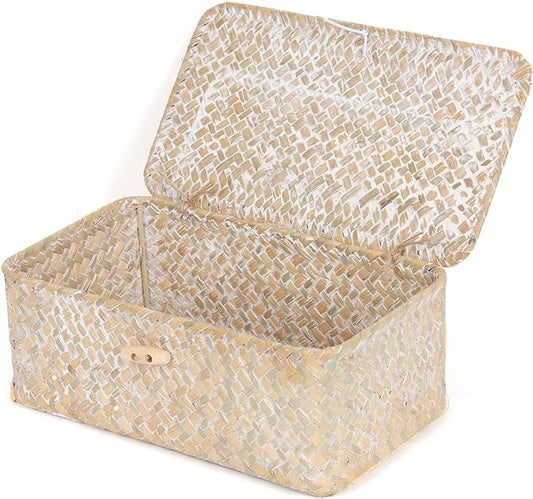 FEIALNDUO Wicker Shelf Baskets with Lid,Seagrass Storage Basket Bins Rectangular Handwoven Basket Boxes for Shelves Desktop Home Organizer (Whitewash, X-Small)