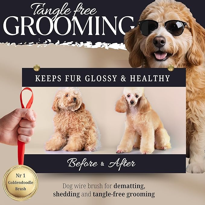 Bixy Pixy Tiny Slicker Brush for Dogs - Protected Pins for Extra Comfort - 1 inch Pins for Easy Detangling for Long Hair Dog, Cats, Doodle, Goldendoodle