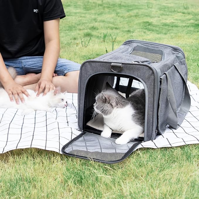 GAPZER Pet Carrier for Large Cats, Soft-Sided Cat Carrier for Medium Big Cats and Puppy up to 20lbs, Washable Dog Carrier Privacy Protection for Home Outdoor Travel