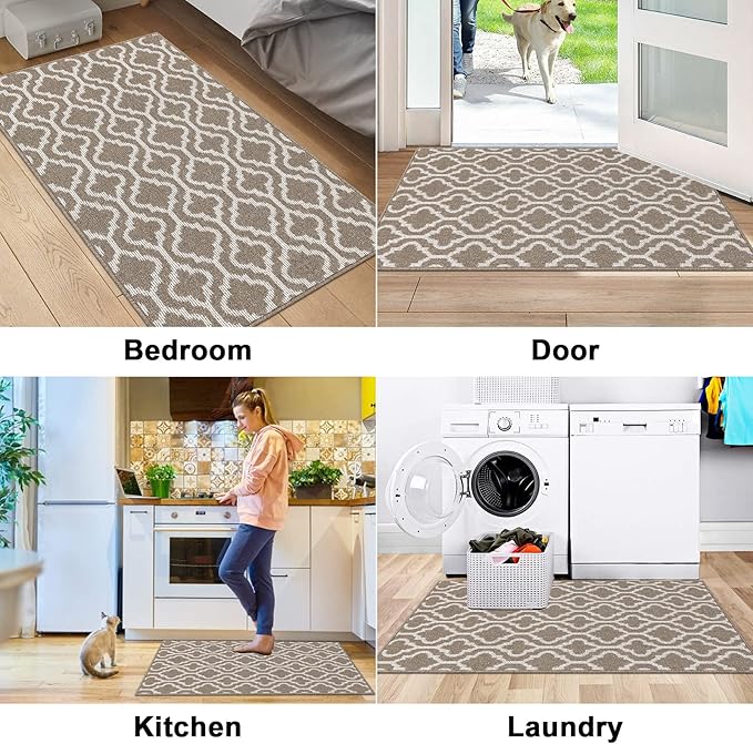 HEBE Indoor Door Mat 32"x48" Non Slip Front Door Welcome Mats Washable Shoe Mats Dirt Trapper for Entryway Low Profile Kitchen Carpet for Entrance Hallways Entrance Mat for Dogs