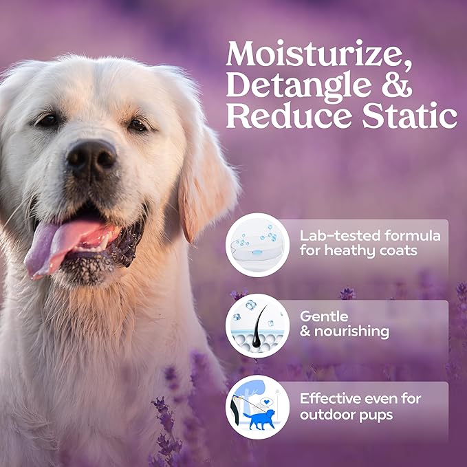 PAWFUME Dog Detangler Grooming Spray, Royal Lavender, 1-Pack – Keeps Pups Fresh All Day – Hypoallergenic, Alcohol-Free, Detangling & Moisturizing – Salon-Quality Dog Necessities for Coat & Fur Care