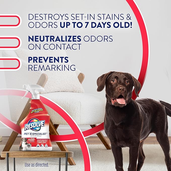 Resolve Pet Specialist Stain & Odor Remover Spray – Pet Stain and Odor Remover, Carpet Cleaner Solution for Dog and Cat Urine, 22Fl Oz