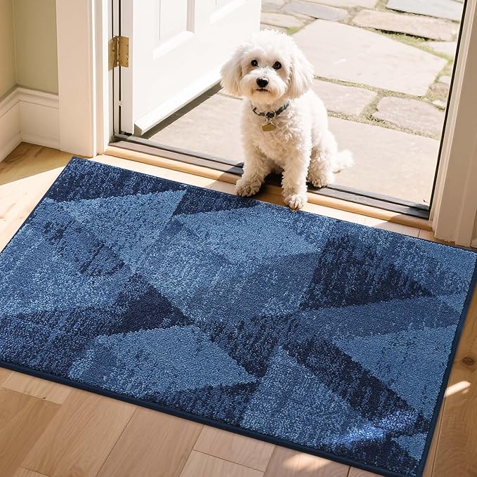 COSY HOMEER Entryway Rugs Doormat 24"x36", Non-Slip Absorbent Polyester, Washable Rugs for Front Door, Dirty Paws & High Traffic Areas, Blue