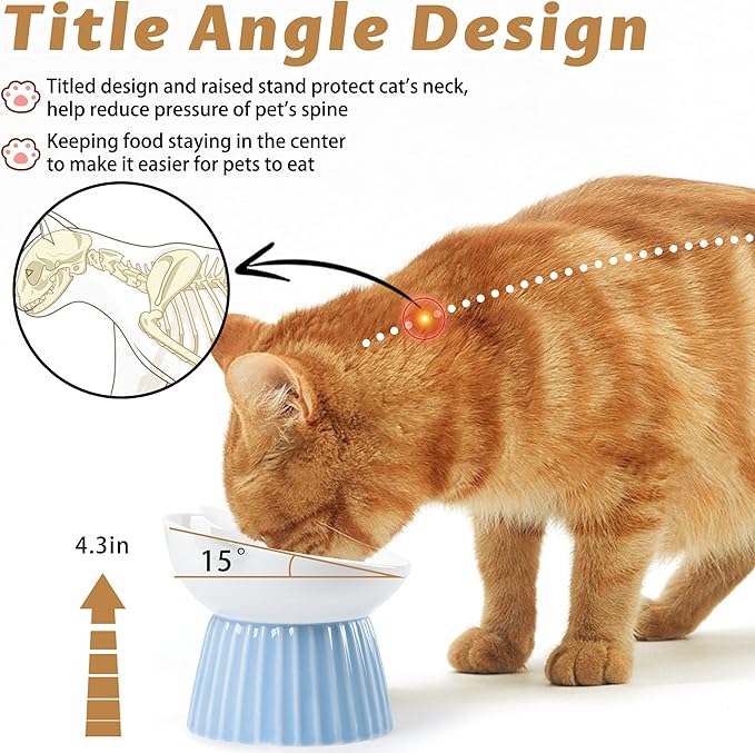 Wellbro Ceramic Raised Cat Bowl，Tilted Raised Bowl Anti Vomit Bowls for Indoor Cats Whisker Friendly Pet Feeder for Cats Puppies, Microwave and Dishwasher Safe