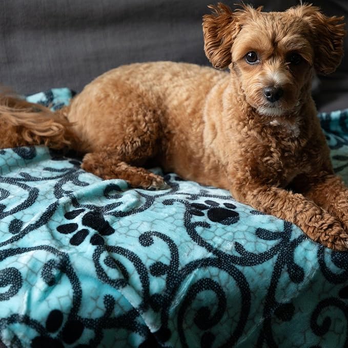 Pet Dog Cat Blanket Ultra Soft Cozy Fleece Paw Print Design Machine Washable Durable for Crates Beds Sofas Travel (Loving Paws, Large)