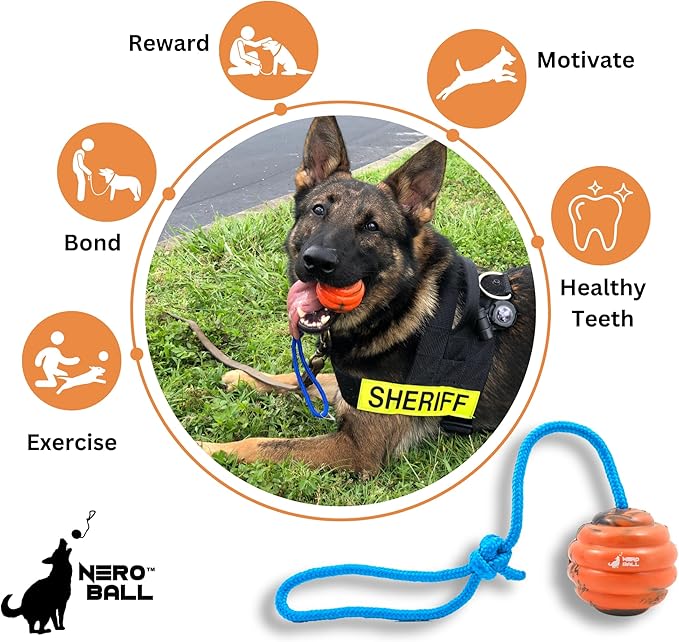 Nero Ball Pro K-9 Dog Training Ball on Rope – 2.75″ Heavy-Duty Natural Rubber Reward & Tug Toy with Nylon Throw Handle – High-Visibility Orange – Police, Military & Sport Working Dogs Fetch