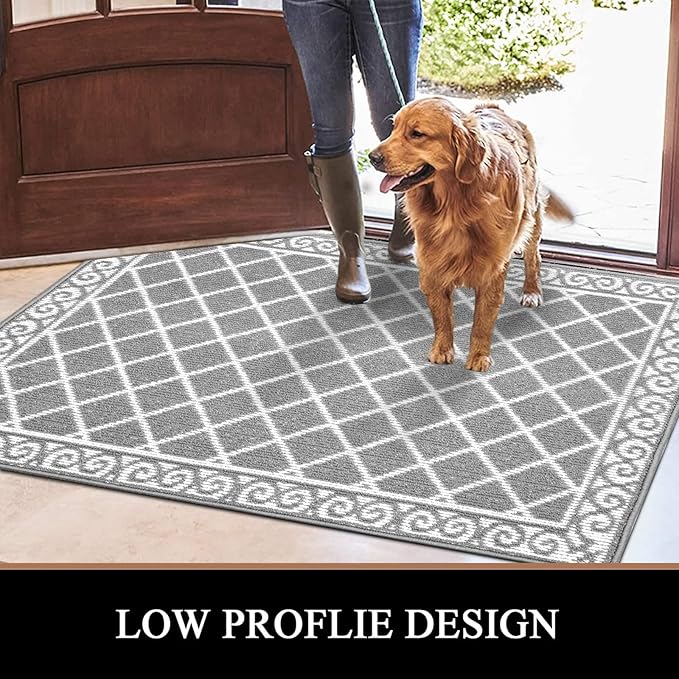 HEBE Indoor Door Mat 32"x48" Non Slip Front Door Welcome Mats Washable Shoe Mats Dirt Trapper for Entryway Low Profile Kitchen Carpet for Entrance Hallways Entrance Mat for Dogs