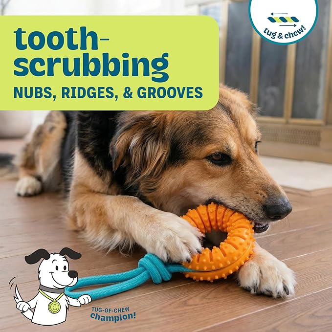 Dental Chew Wheel Dog Toy – Ring & Rope Tug, Multi-Textured, Soft on Teeth, Moderate Chewers, Mint Scented, 9"