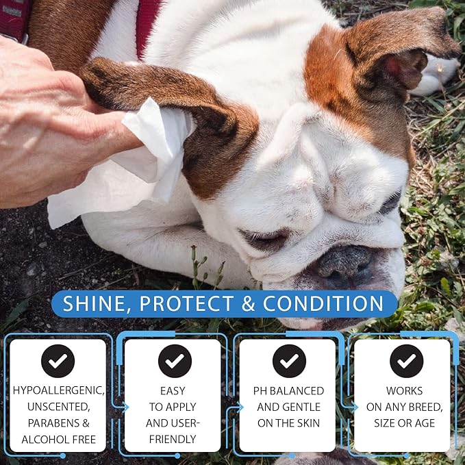 Tetesol Dog Wipes for Dogs Cats, 600 Count All Purpose Cleaning Pet Wipes, Dog Ear Wipes, Quick Easy Grooming for Bums, Body, Paws, Eyes, for A Easy & Speedy Freshen-Up, 6 Travel Pack of 600 Wipes