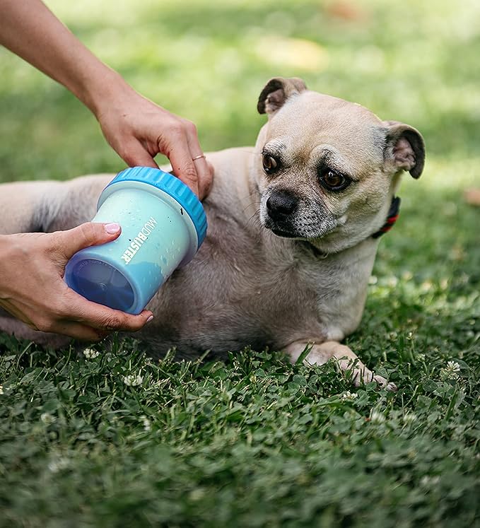Dexas MudBuster Portable Dog Paw Cleaner - Premium Quality, Blue, Small Size for Pet Supplies and Accessories