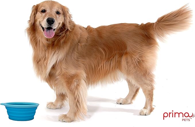 Prima Pet Expandable / Collapsible Silicone Food & Water Travel Bowl with Clip for Medium & Large Dog, Portable and Durable Pop-up Feeder for Convenient On-the-go Feeding, Size: 5 Cups (7 Inch Diameter Bowl) (LARGE (5 CUPS), AQUA)