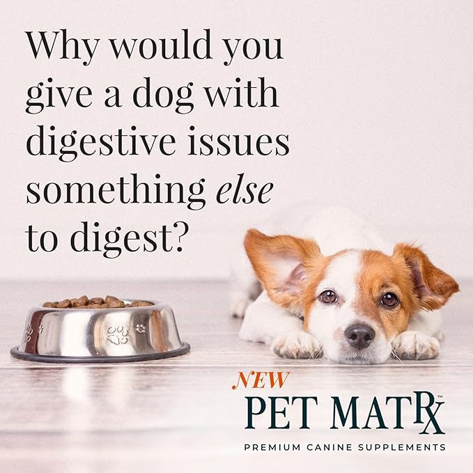 Calm Spray Supplement for Dogs - Nervous System Support, Anxiety Relief, Behavior Training - Vitamin B1, NAC, GABA, Curcumin