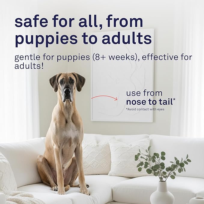 Petpost | Argan Shampoo for Dogs. Dog Shampoo with Argan Oil & Aloe. Moisturizes Dry Skin, Softens Coat, Restores Shine. 8 oz