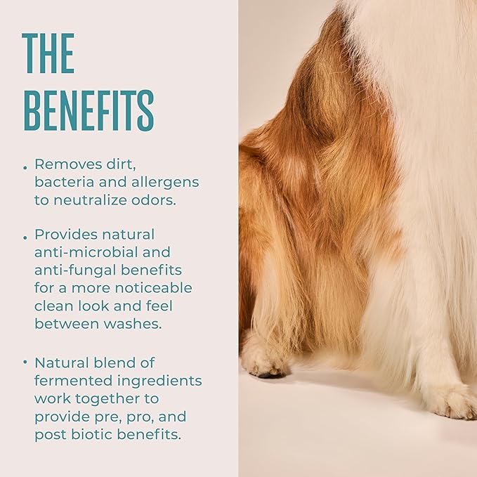 WagWell Daily Cleansing Dog Wipes - Hypoallergenic, Fragrance Free, Microbiome-Friendly Grooming Wipes for Dogs - 50 Count