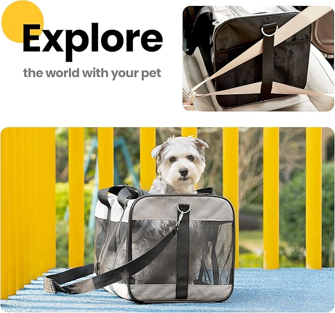 Conlun Dog Carrier Soft Sided, Large Cat Carrier with Inner Safety Leash, Pet Transport Carrier for Large Cats and Medium Dogs up to 20 Lbs, Collapsible Travel Puppy Carrier Bag -Gray L