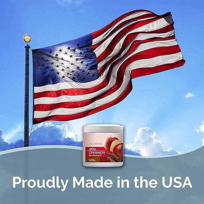 SMELLS BEGONE Air Freshener Odor Absorber Gel - 15 oz, Pack of 2 - Absorbs and Eliminates Odor in Pet Areas, Bathrooms, Cars, & Boats - Made with Essential Oils - Apple Cinnamon Scent