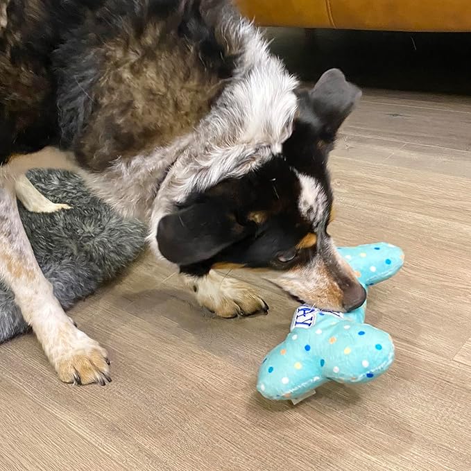 Prime Pets Dog Birthday Toys, Plush Dog Squeaky Toys, Stuffed Puppy Chew Toy for Small Medium Large Dogs, Bone Pet Toy