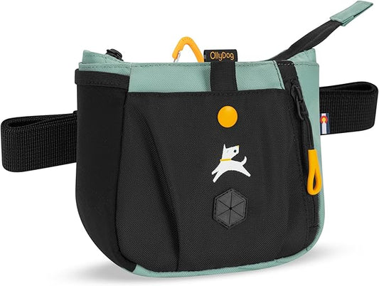 OllyDog Backcountry Day Bag | Hands-Free Dog Training Treat Pouch | Fanny/Hip Pack with Zipper Closure & Built-in Poop Bag Dispenser | Removable Waist Clip (Surf)