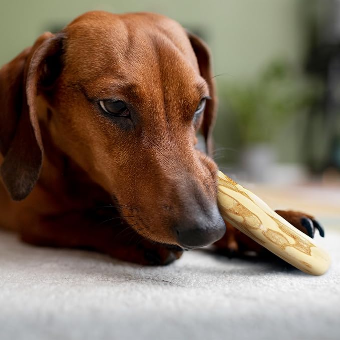 Wildfang® Coffee Wood Dog Chew, Medium - Tough Chew Toys for Aggressive Chewers, Dog Teething Toys for Puppies, Training for Chewing Muscles, Coffee Tree Sticks for Medium Dogs (33-55 lbs), Pack of 3