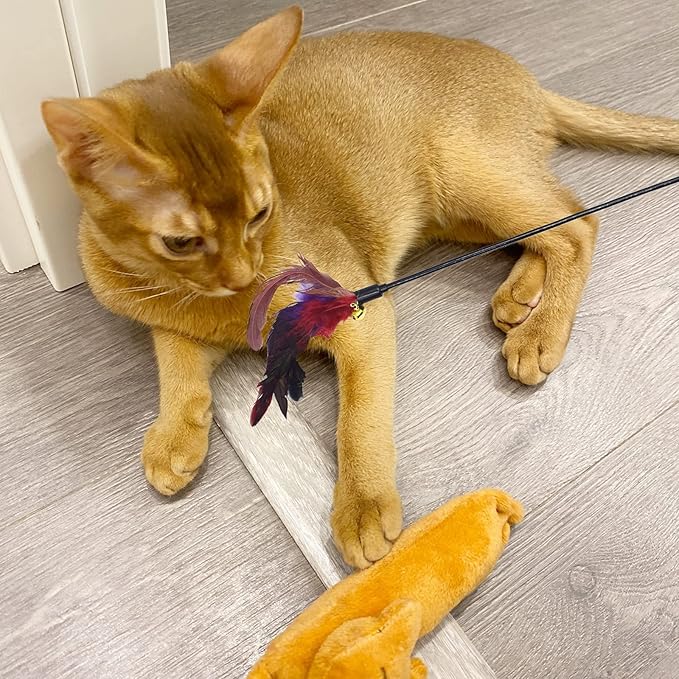 IUHKBH Cat Wands, 6 PCS Colorful Feather Wand with Bell Interactive Cat Toys, Safe for Your Kitty