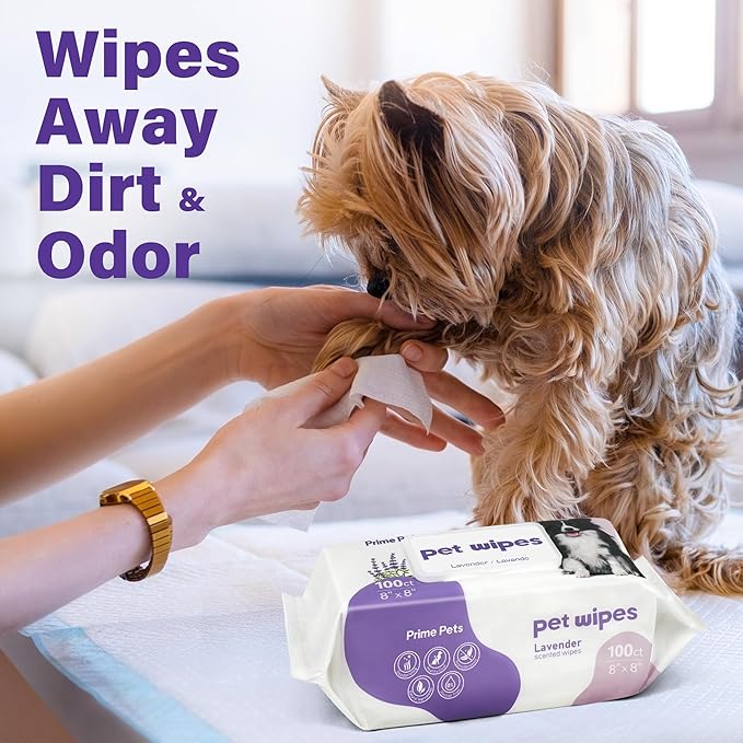 Prime Pets Dog Wipes for Paws and Butt, 100 Count, 8" x 8" Hypoallergenic Pet Wipes for Dogs Cats Cleaning Deodorizing, Lavender Scented, Thick Puppy Wipes for Ears, Eyes, Body and Teeth