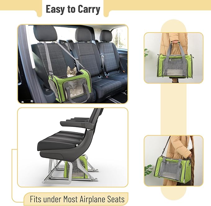 Mr. Pen- Pet Carrier, 17.5" x 11.2" x 11.5", Medium Size, Green, Portable Travel Carrier for Small Pets, Cats & Small Dogs, Breathable Mesh, Safety Inner Leash, Side Pocket & Padded Shoulder Strap