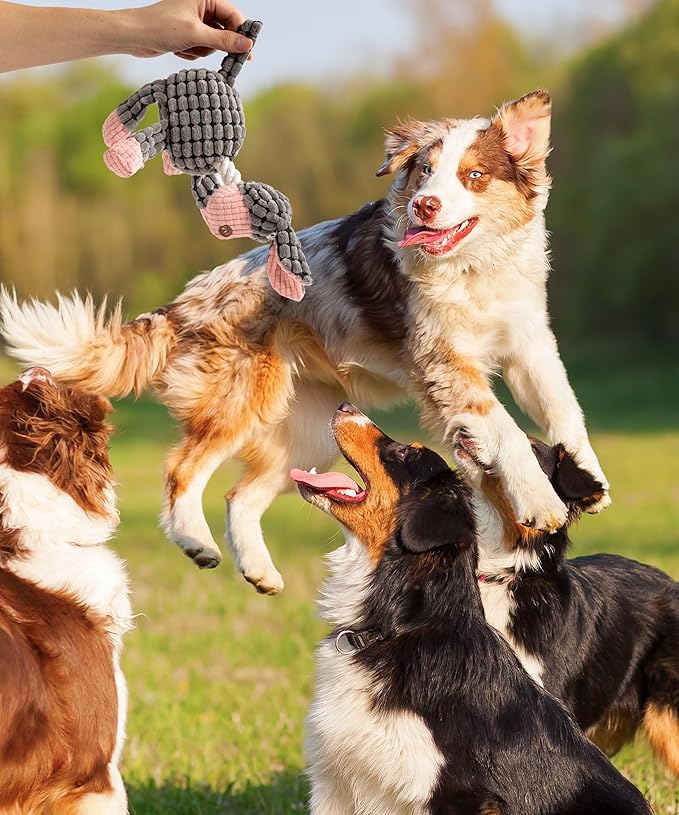 Squeaky Plush Dog Toys - Adorable Animal Designs with Soft Cotton Filling, Cute Stuffed Dog Chew Toys for Small, Medium Non-Aggressive Chewing Dogs Chewer (Grey - Donkey)