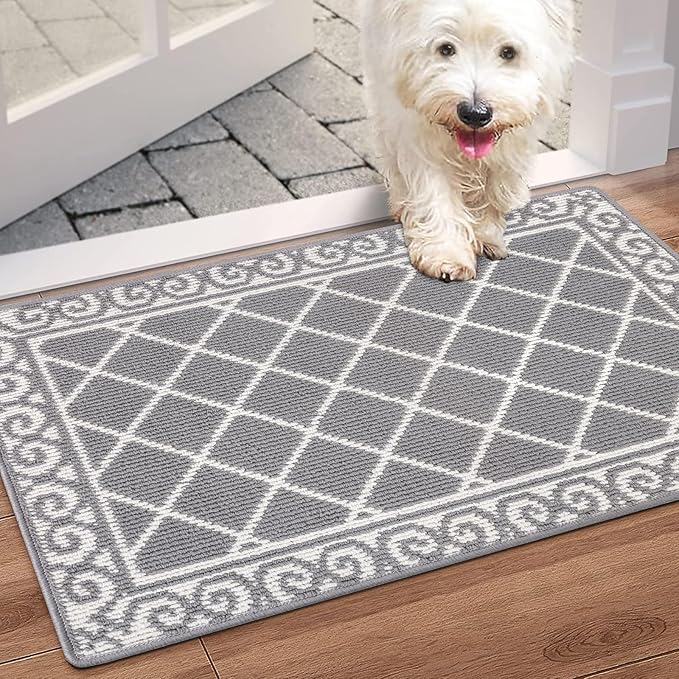 HEBE Indoor Door Mat 24''x36'' Non Slip Front Door Welcome Mats Washable Shoe Mats Dirt Trapper for Entryway Low Profile Kitchen Carpet for Entrance Hallways Entrance Mat for Dogs