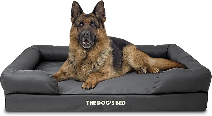 The Dog’s Bed XL Grey, Memory Foam, Pain Relief: Arthritis, Hip & Elbow Dysplasia, Post Surgery, Lameness, Supportive, Calming, Waterproof Washable Cover