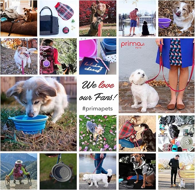 Prima Pet Expandable / Collapsible Silicone Food & Water Travel Bowl with Clip for Medium & Large Dog, Portable and Durable Pop-up Feeder for Convenient On-the-go Feeding, Size: 5 Cups (7 Inch Diameter Bowl) (LARGE (5 CUPS), AQUA)