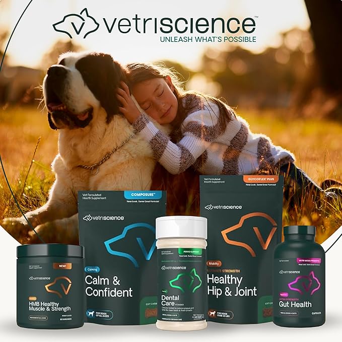 VetriScience Ultimate Strength Healthy Hip & Joint Chews, GlycoFlex Glucosamine, Chondroitin & Green Lipped Mussel Joint Support Supplement for Dogs, Soothe Joint Discomfort, Peanut Butter, 120 Ct