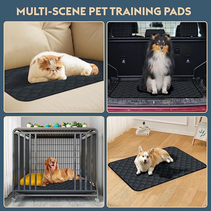 Washable Pee Pads - 2 Pack Reusable, Waterproof, Super Absorbent Dog Training Pads with Non-Slip Backing (Dark Grey, 41" X 41")