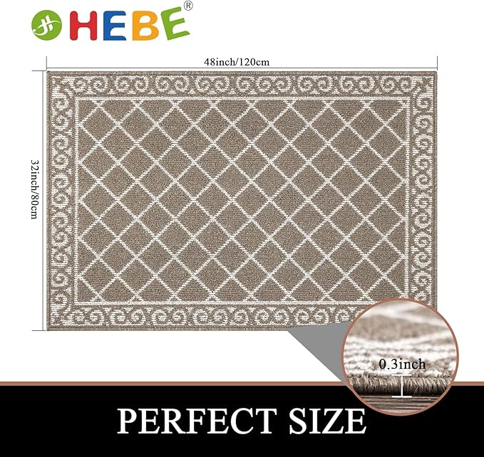 HEBE Indoor Door Mat 32"x48" Non Slip Front Door Welcome Mats Washable Shoe Mats Dirt Trapper for Entryway Low Profile Kitchen Carpet for Entrance Hallways Entrance Mat for Dogs