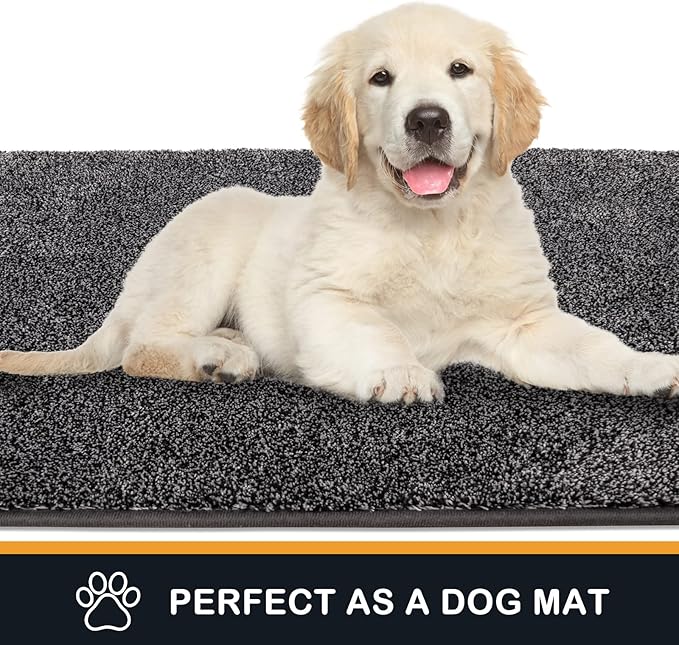 PURRUGS Dirt Trapping Door Mat 31.5" x 47", Non-Slip Machine Washable Entryway Rug, Dog Doormat, Indoor Front Door Mat, Super Absorbent Entry Rug for Muddy Shoes & Paws,Light Grey-Dark Grey