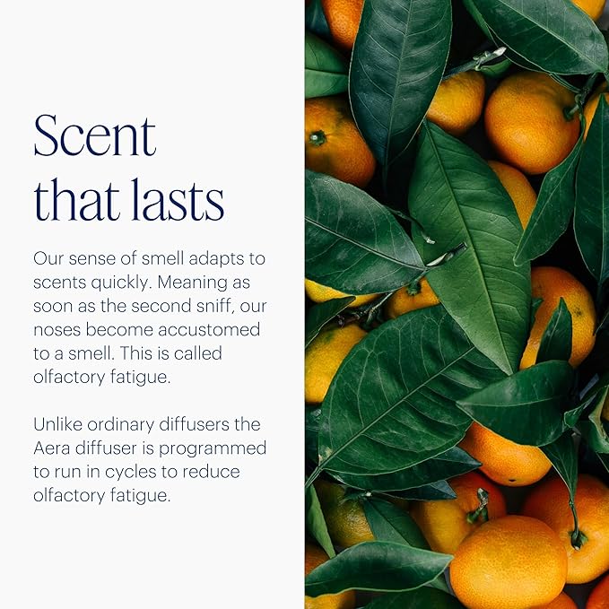 Aera Home Essential Oil Fragrance Diffuser – Waterless Electric Aromatherapy Smart Plug-in, Wi-Fi & App/Alexa Controlled, Hypoallergenic – for Rooms 500-1000 sq ft (Capsules Sold Separately)