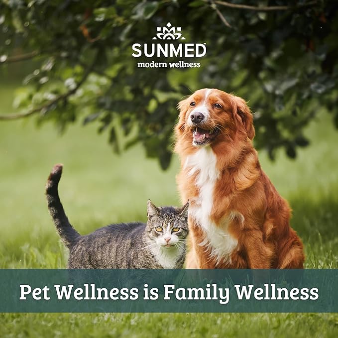 Sunmed Movin' Easy Hemp Pet Chews for Joint Health & Mobility – Omega-3, Green Lipped Mussels, 5mg Hemp Extract – Supports Flexibility & Comfort | Beef Liver & Sweet Potato, 40 Count