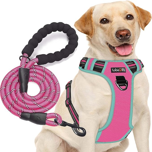 No Pull Harness with A Free Heavy Duty 5ft Leash for Medium Large Dog Adjustable Reflective Oxford Easy Control (L (Neck: 18"-25.5", Chest: 25.5"-31"), Pink/Blue Harness+Leash)