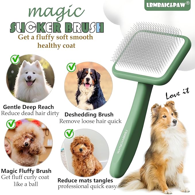 Dog Brushes for Poodle,Doodle,Bernedoodle,Chow Chow Best Slicker Brush for Dogs Thick Long Curly Hair Shedding,Detangles,Fluffy,Grooming,Remove Loose Hair Long Pin Slicker Brush for Shedding.(Large)
